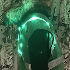 LED Pony-Set Grün